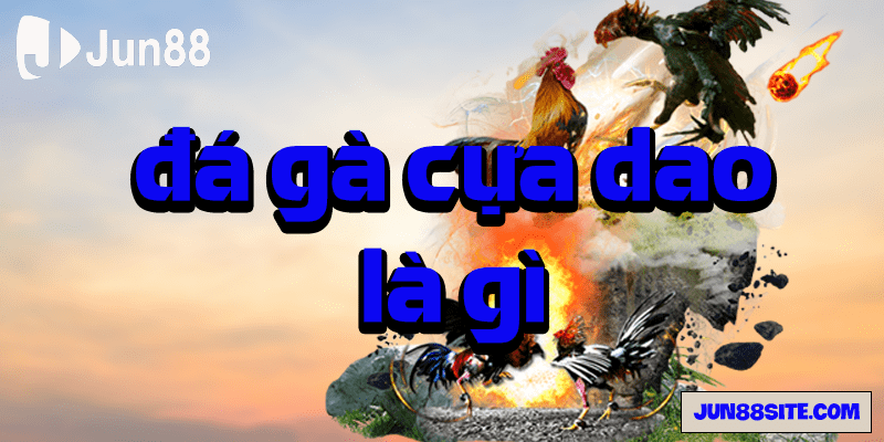 Đá gà cựa dao là gì?