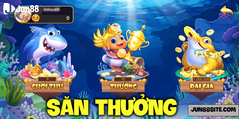 san thuong cung bingo-min