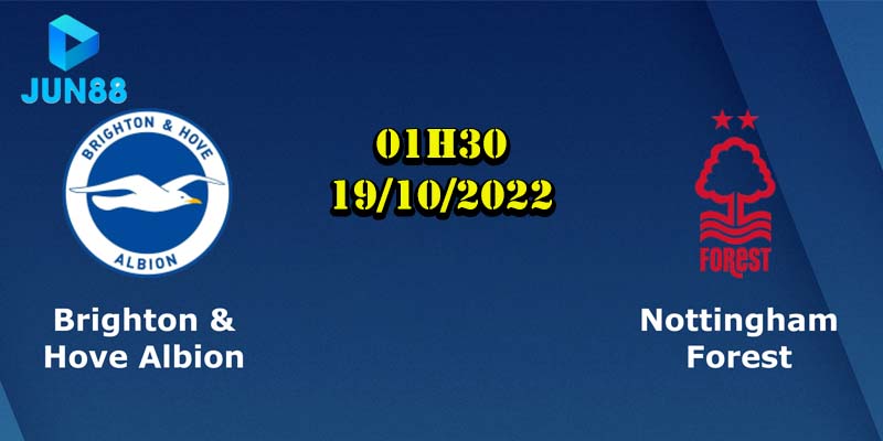 Soi Kèo Dự Đoán Brighton Vs Nottingham Ngày 19/10