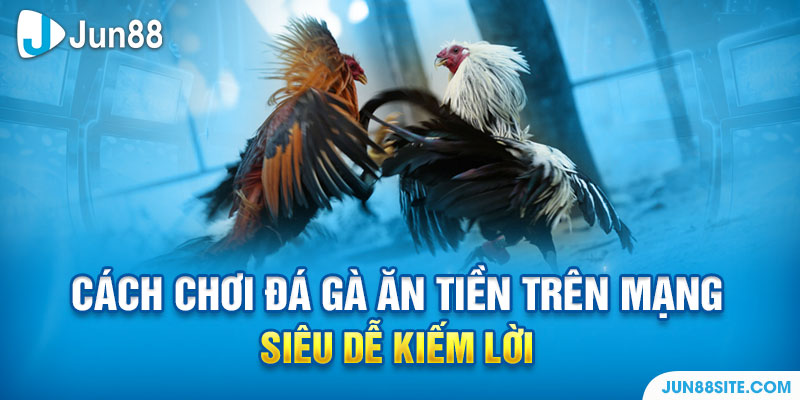 Cách Chơi Đá Gà Ăn Tiền Trên Mạng Siêu Dễ Kiếm Lời