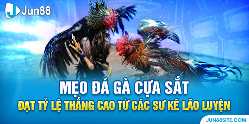 Mẹo Đá Gà Cựa Sắt Đạt Tỷ Lệ Thắng Cao Từ Các Sư Kê Lão Luyện