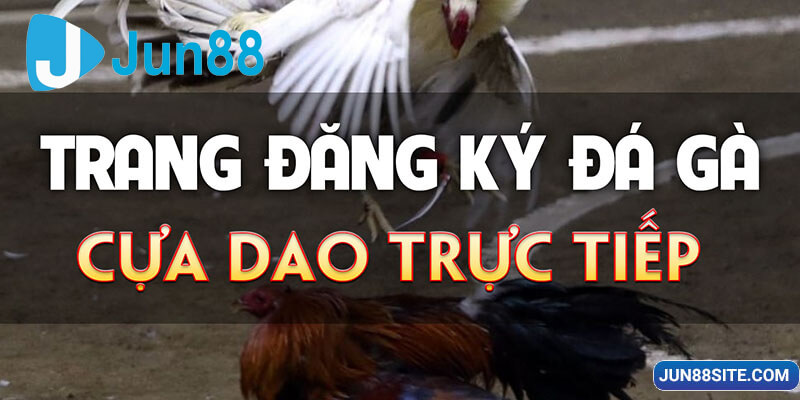 Các bước tham gia trang đăng ký Đá Gà cựa dao trực tiếp dễ dàng