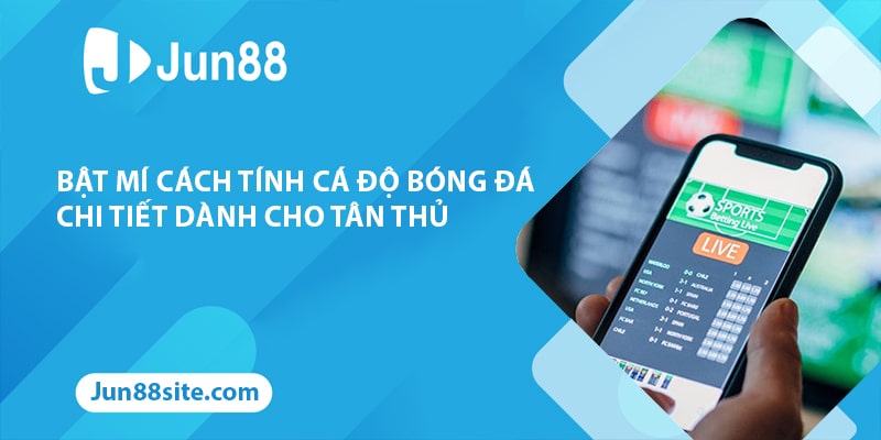 Bật Mí Cách Tính Cá Độ Bóng Đá Chi Tiết Dành Cho Tân Thủ