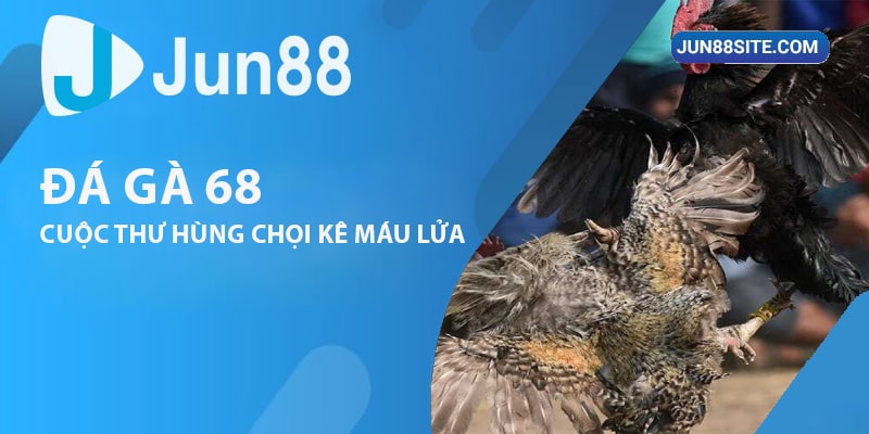 Đá Gà 68: Bùng Nổ Với Các Cuộc Thư Hùng Chọi Kê Máu Lửa Nhất 