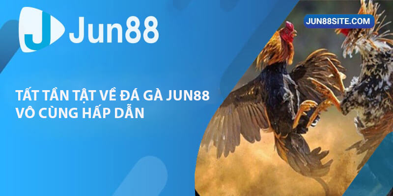 Tất Tần Tật Về Sản Phẩm Đá Gà Tại Jun88 Vô Cùng Hấp Dẫn