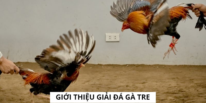 Tham Gia Đá Gà Tre Giải Trực Tuyến Tại Jun88 Kiếm Lời Lớn